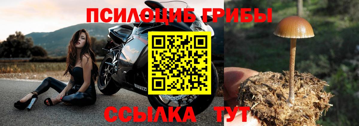 Галлюциногенные грибы мухоморы  Вход с VPN  Галлюциногенные грибы Magic Shrooms  Волгоград 
