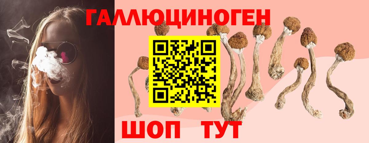 Галлюциногенные грибы ЛСД Волгоград